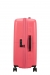 American Tourister Dashpop 67 cm - Mellem Ekspanderbar Sugar Pink