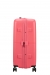 American Tourister Dashpop 67 cm - Mellem Ekspanderbar Sugar Pink